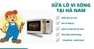 sua-lo-vi-song-tai-Ha-Nam 3